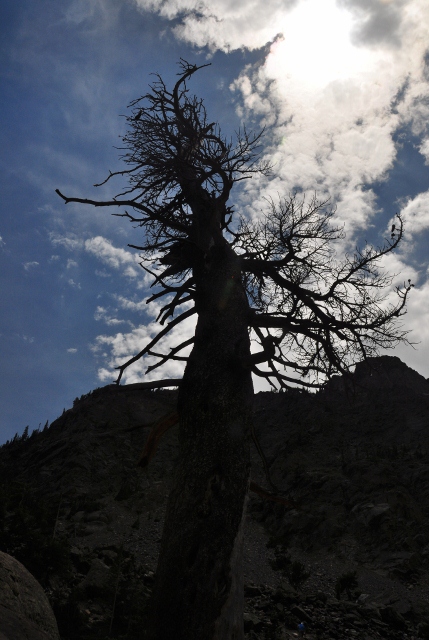 The Bear Lake Trail